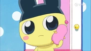 Tamagotchi! Episode 141 0000420744ms.png (708 KB)