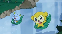 Click here to view the image gallery for Fearful Kikitchi's Big Training!/Episode Gallery.