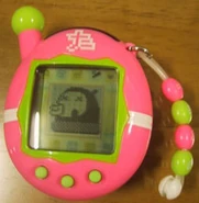 Pukatchi up close on an Entama