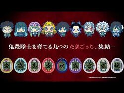 Demon Slayer Tamagotchi) So I was just wondering, the highest rank is  probably Nezuko. But the instructions say Characters ( plural ). So has  anyone gotten different characters? If so which