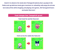 Growth affected by food