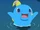 Why Dolphin? Tell Us Dolphintchi