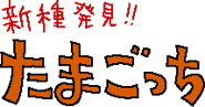 Japanese generation 2 logo