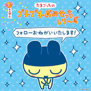 Official twitter account promo