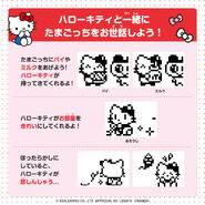 Gameplay