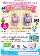 18th Anniversary Set