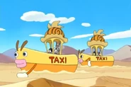 Sand Taxis used to travel over the sand