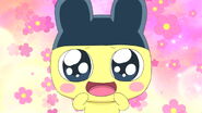 Cute looking Mametchi