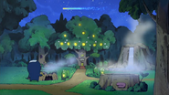 Patchi Forest at night