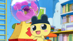 Click here to view the image gallery for Tamagotchi: Happiest Story in the Universe!/Gallery.