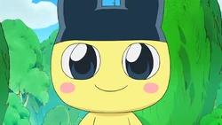 Click here to view the image gallery for Mametchi/Anime Gallery.