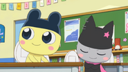 Mametchi kuromametchi