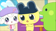 Pianitchi Mametchi Kuchipatchi