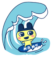 Mametchi surfing