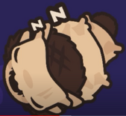 A Big Mamma Boss 'Original' Shadow