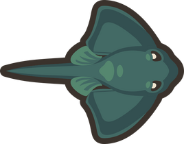 Adult-stingray
