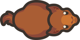 Adult-camel