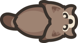 Adult-lynx