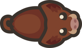 Adult-boar