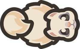 Adult-flying-squirrel