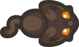 Adult-black-cat