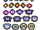 Pet Level System