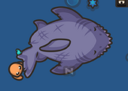 A Big Mamma Boss Shark
