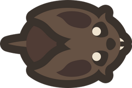 Adult-rabbat