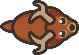 Adult-deer
