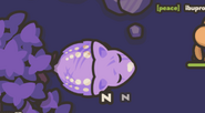 A Big Mamma Boss Mauve
