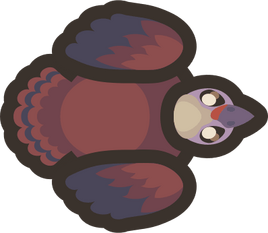 Baby-turkey