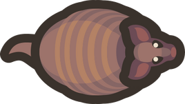 Adult-armadillo