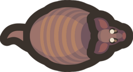Baby-armadillo