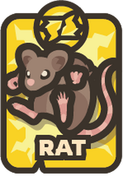 Taming baby rats outlet