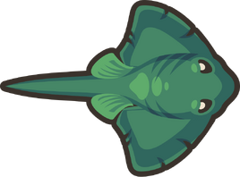 Boss-stingray