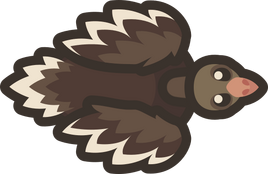 Adult-ostrich