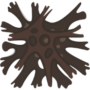 The second type of shadow creeps.