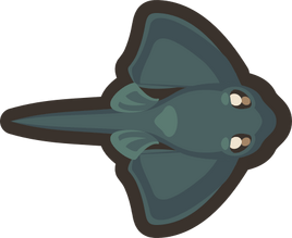 Baby-stingray