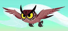 Owl