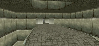 Туннель под центром карты