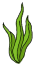 Seaweed.png
