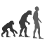 Humans.png