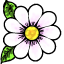 Plants.png