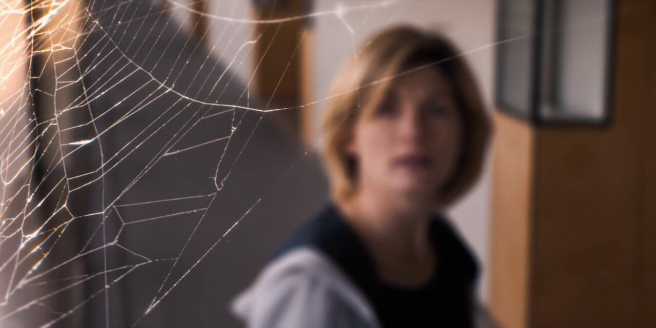Web (Arachnids in the UK).jpg