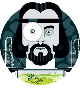 Mehendri Solon DWM 541