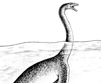 Plesiosaurus