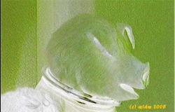 squidbaby23's photograph of the alien creature.