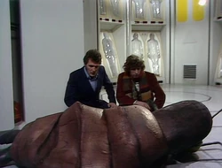  and the  inspect a dead queen