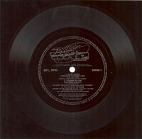 FlexiDisc