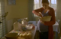 Cupcake | Tardis | Fandom